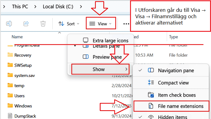 I Utforskaren går du till Visa → Visa → Filnamnstillägg och aktiverar alternativet